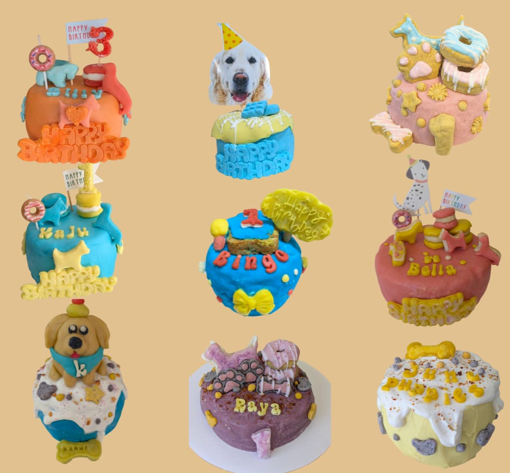MaxTo Dog Barkery