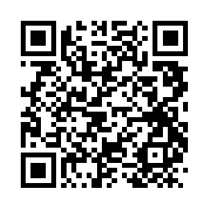 QR code linking to the Opal Pest Solutions listing
